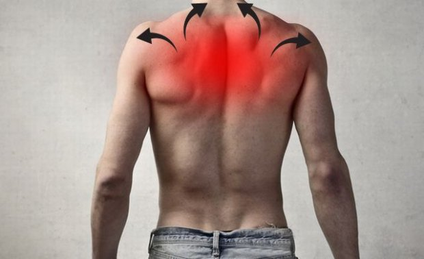 разлитая боль в спине